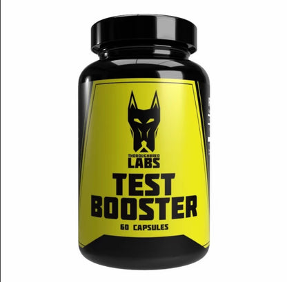 Best Test Booster & PCT in the UK – Boost Testosterone Naturally After SARMs